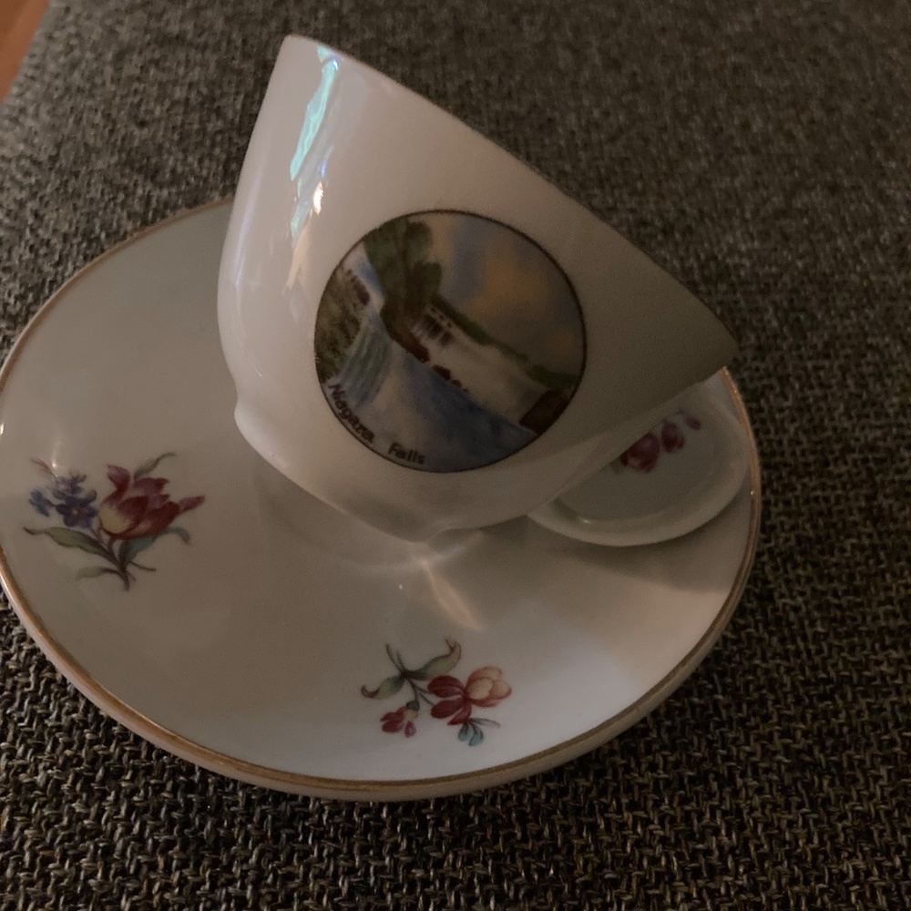 Rare Bavarian tea cup Niagara Falls!